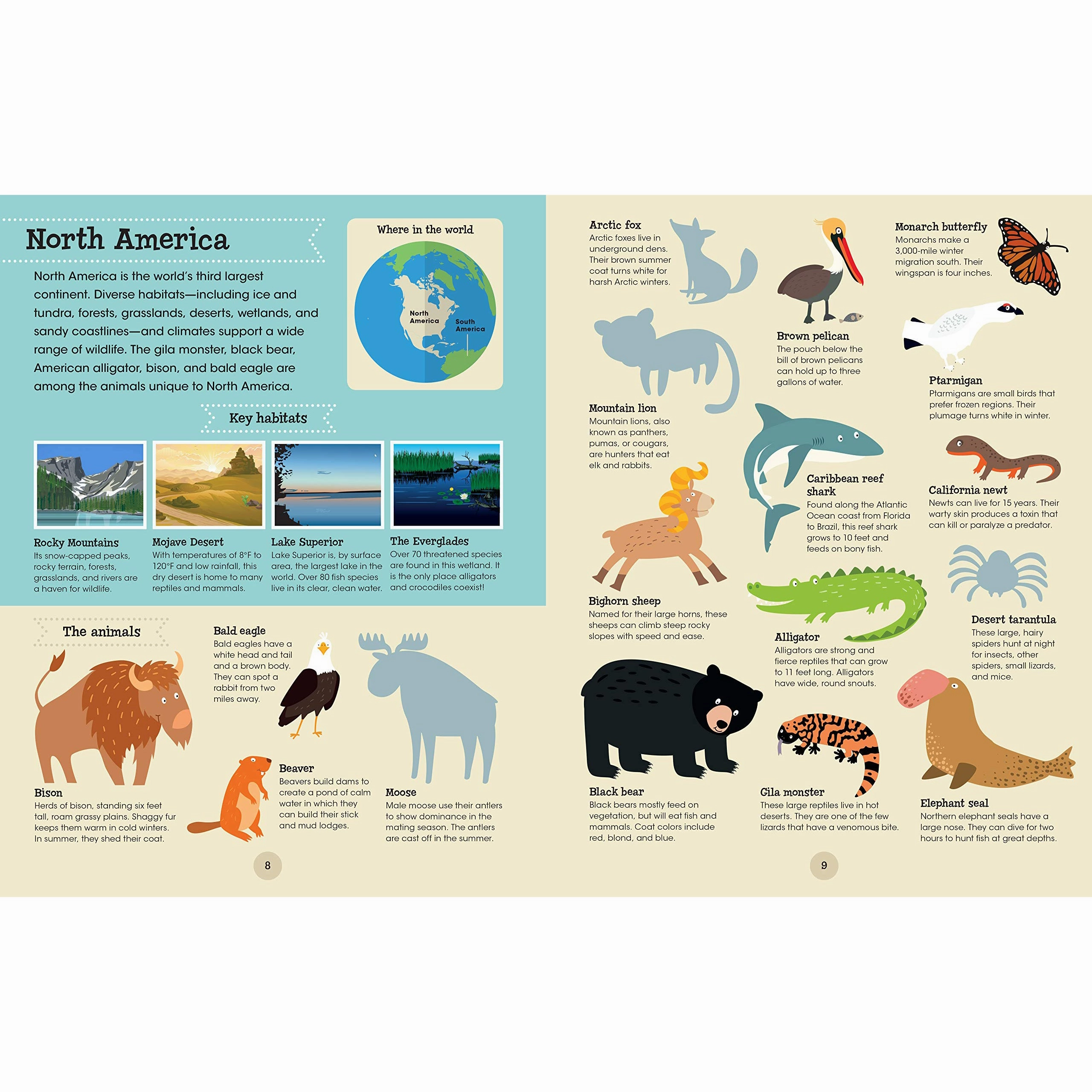 A World of Animals
