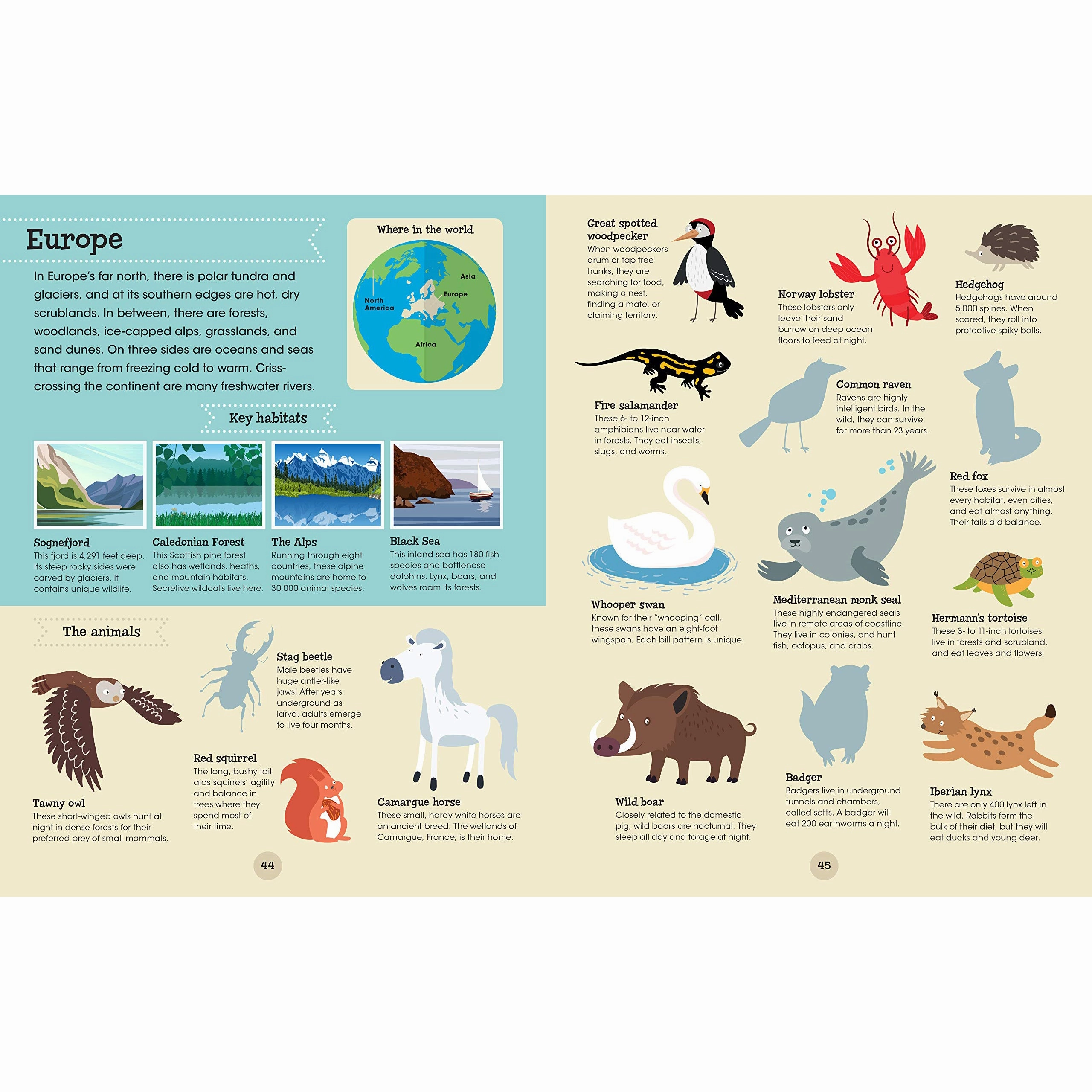 A World of Animals