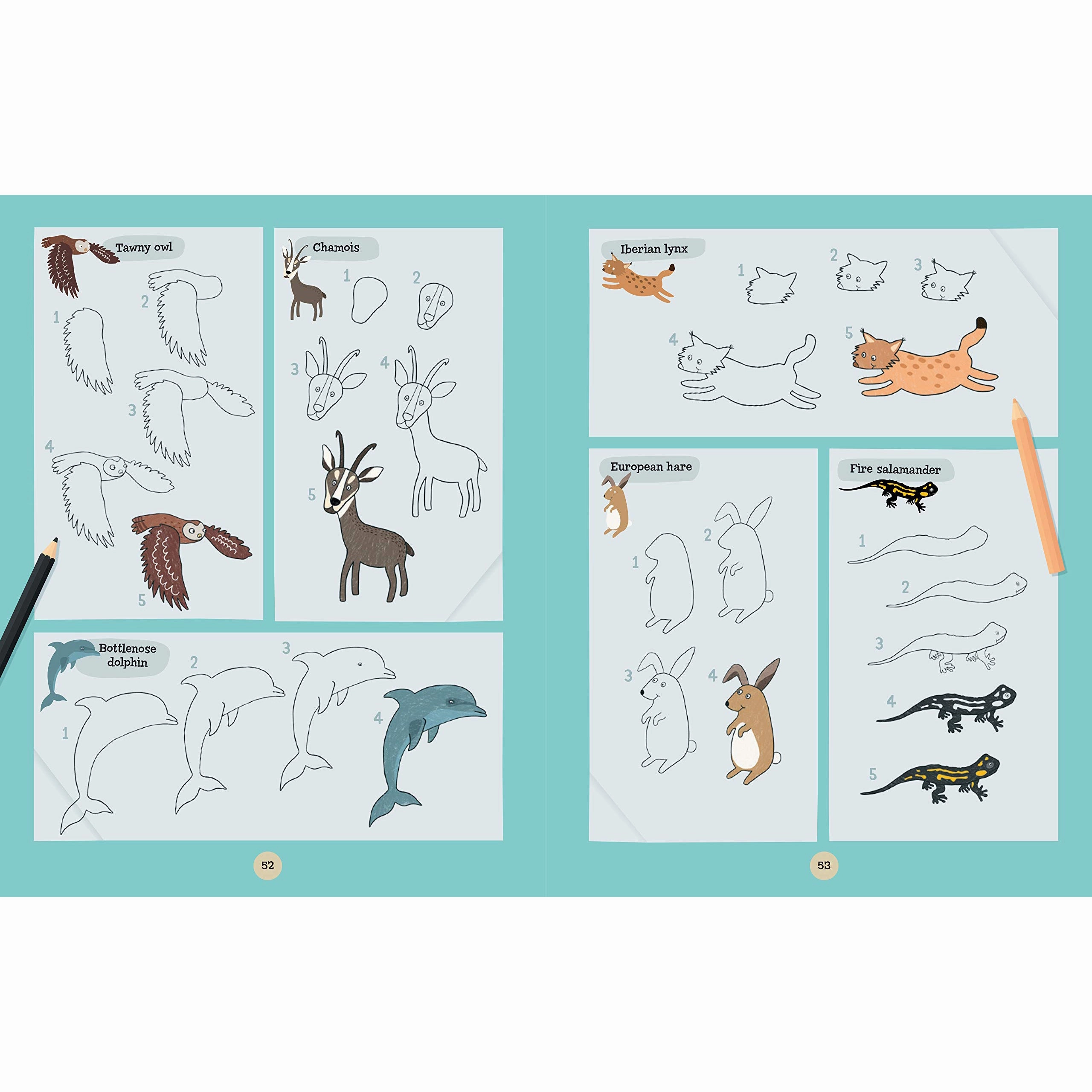 A World of Animals