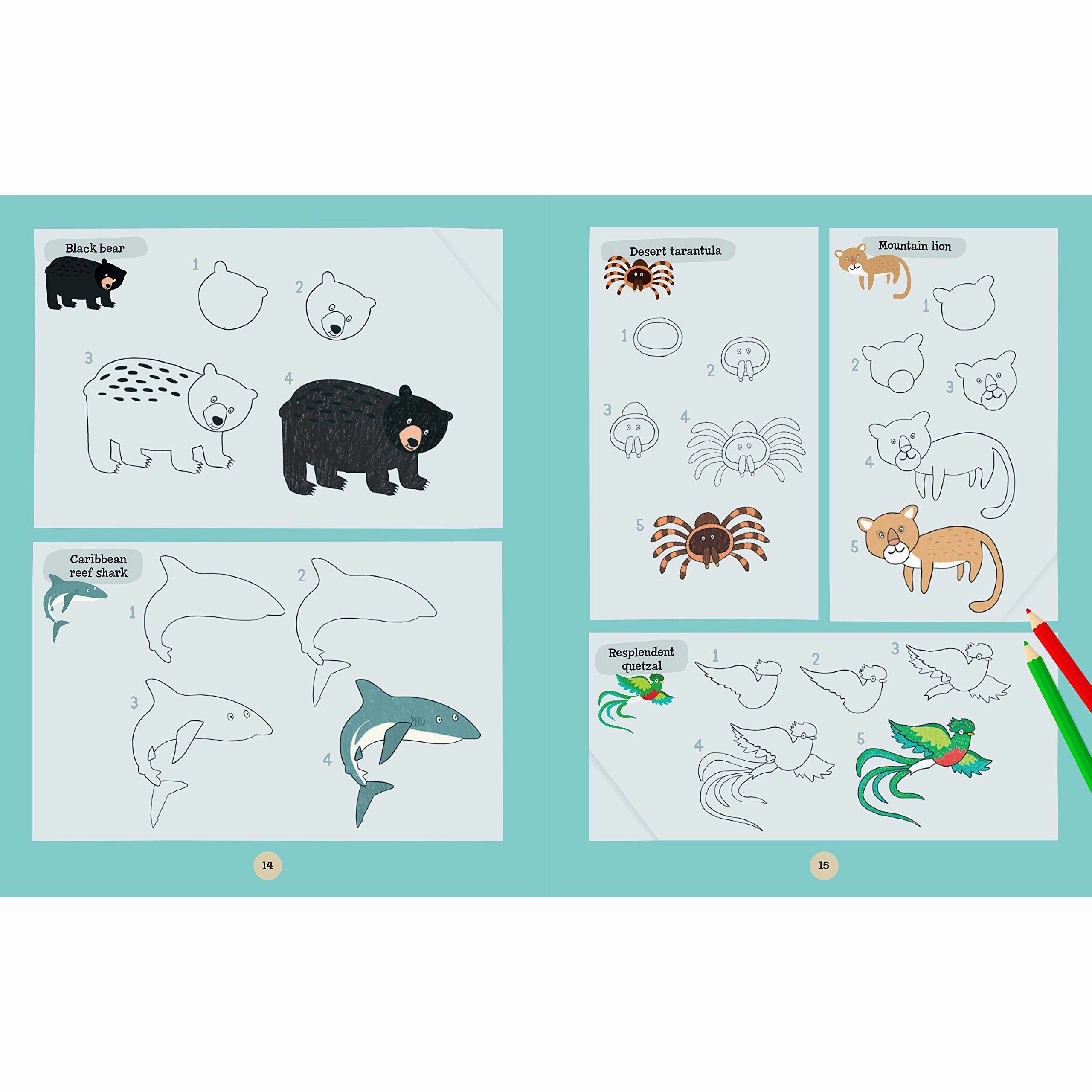 A World of Animals