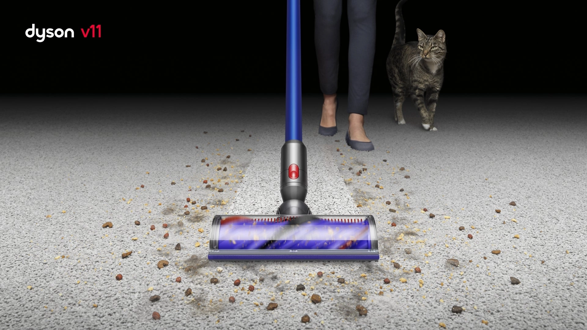 Dyson V11 Cordless Stick Vaccum. Large. Nickel/Blue