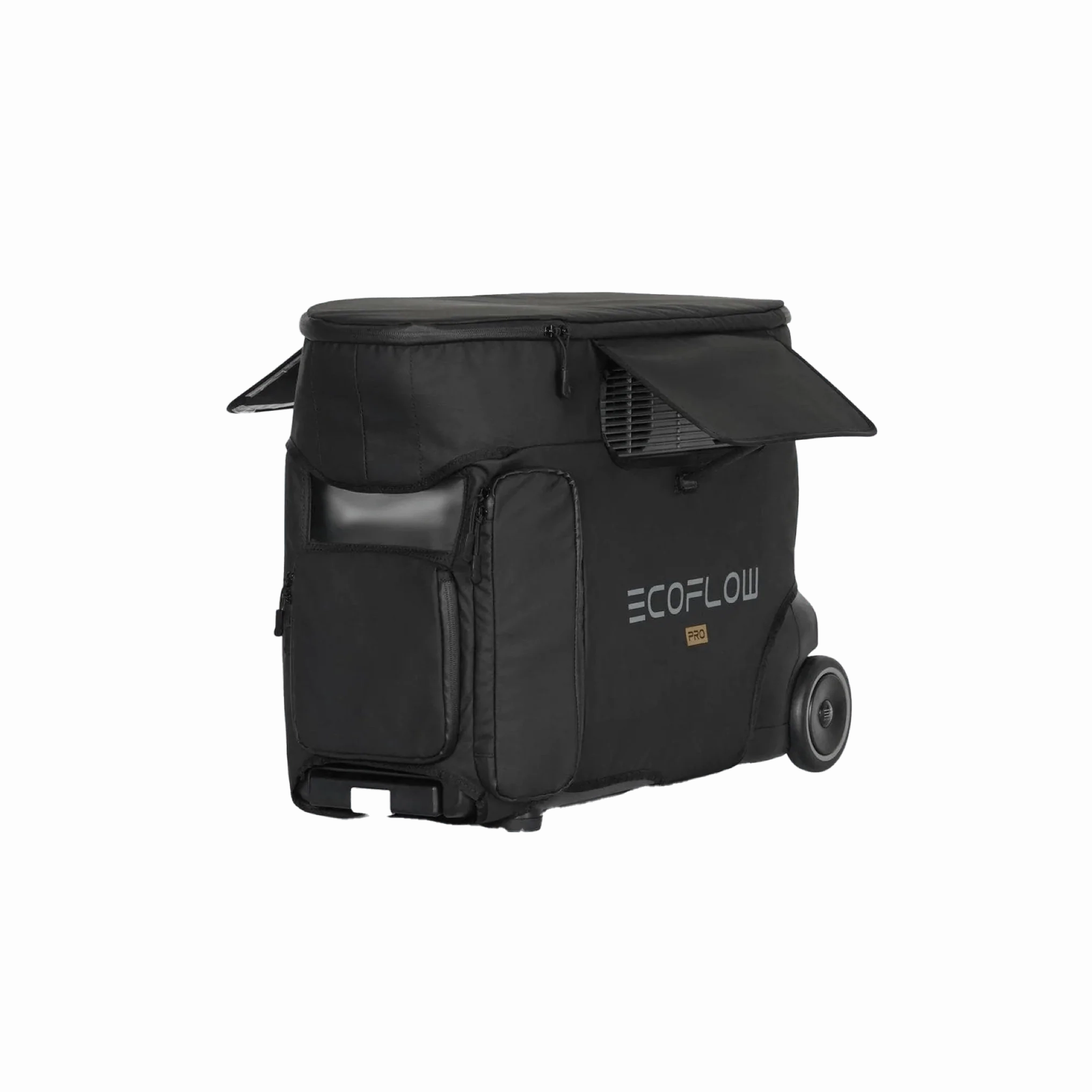 EcoFlow DELTA Pro Bag