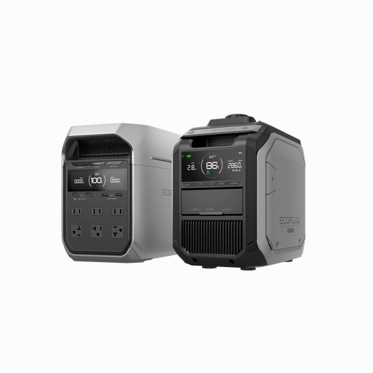 EcoFlow Smart Generator 3000 (Dual Fuel)