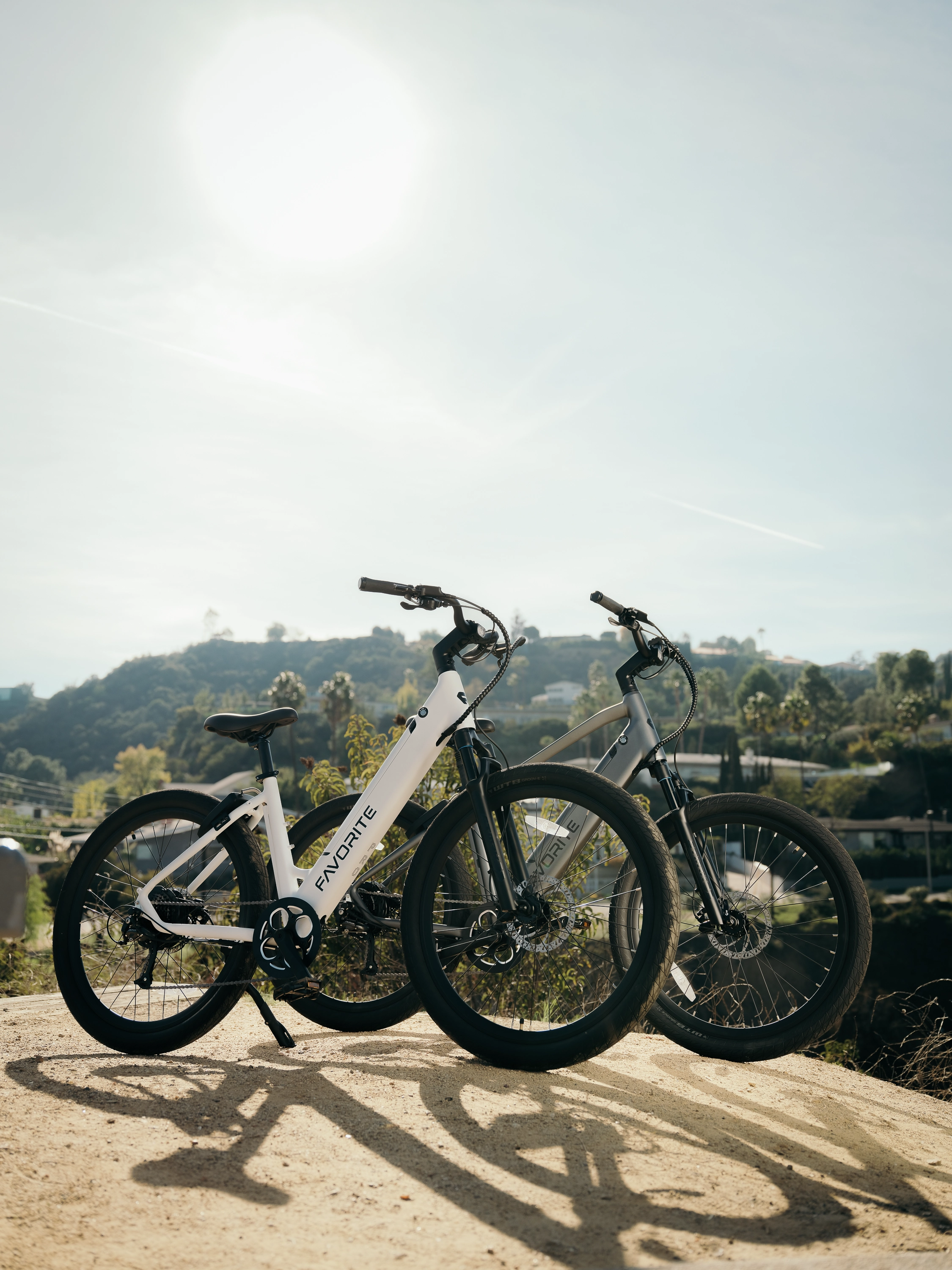 Favorite Hybrid ST Pro Electric Bike