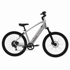 Favorite Hybrid XR Pro Electric Bike