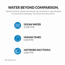 Hayward T-CELL-9 (25.000 Gal. Cell)