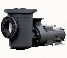 Pentair EQ Series EQ-500 5 HP Pump 1-Phase 230 Volts 20 Amp With Strainer
