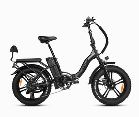 Rattan LF 750W Pro Foldable Fat Tire Ebike