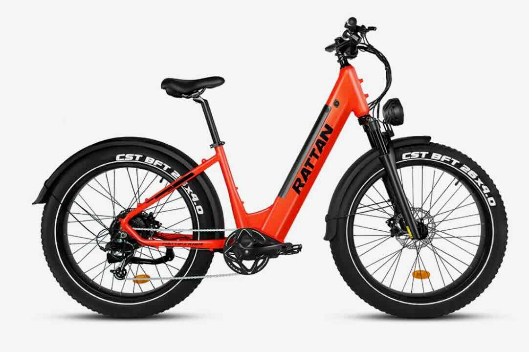 Rattan Pathfinder 750W Step Through ebike