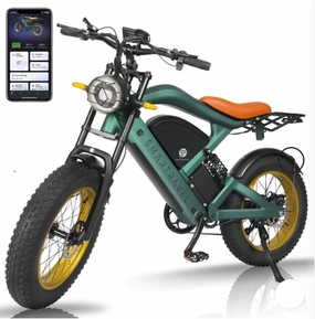 Smartravel Electric Bike ST202